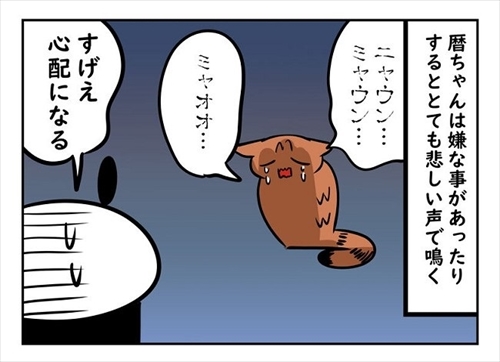 猫ちゃんの機嫌の取り方