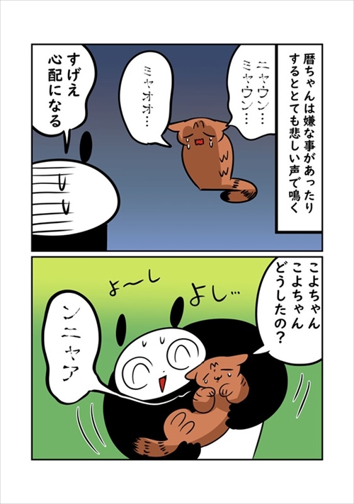 猫ちゃんの機嫌の取り方