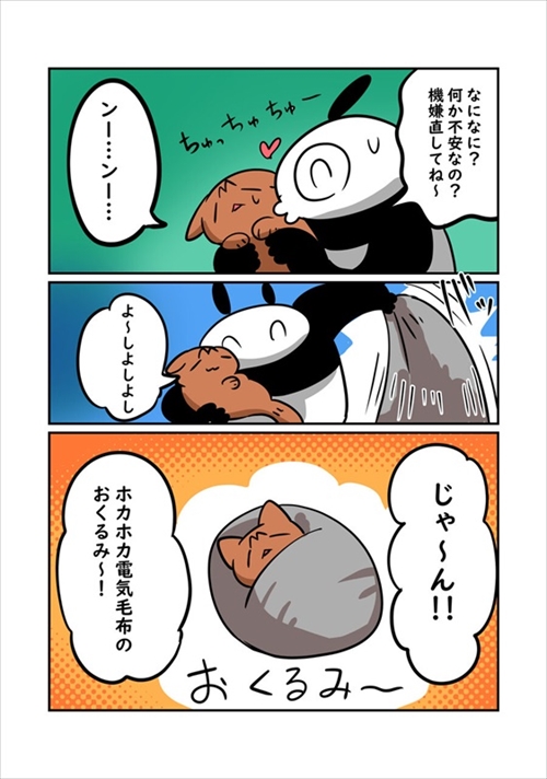 猫ちゃんの機嫌の取り方