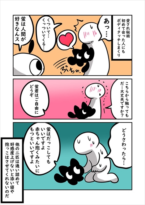 猫ちゃんの機嫌の取り方