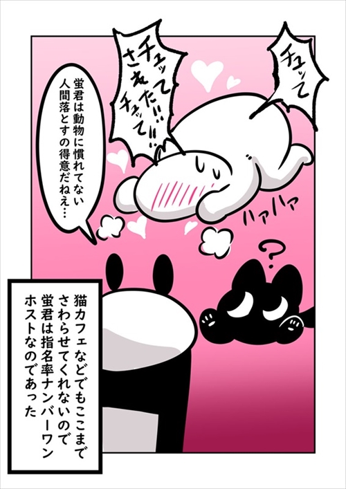 猫ちゃんの機嫌の取り方