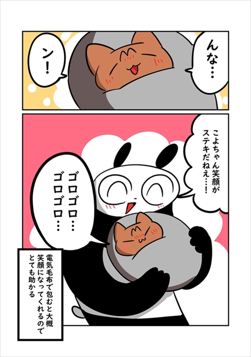 猫ちゃんの機嫌の取り方