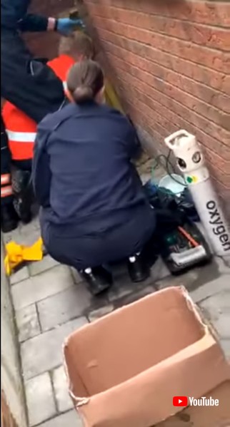 反省するワンコ