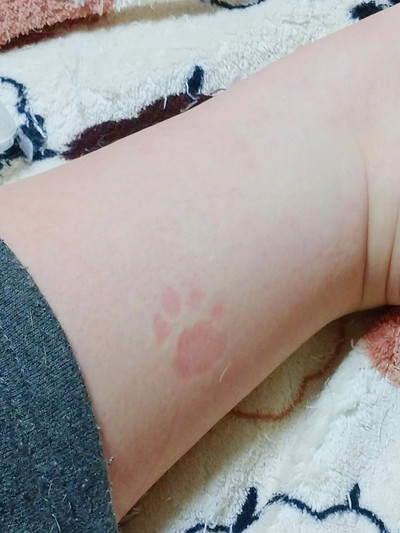 モチコちゃんの肉球スタンプ