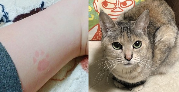 モチコちゃんいろいろ