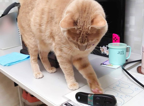 「1357話 机が広くなると」