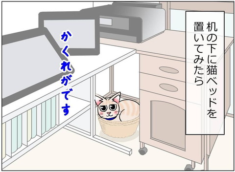 「1349話 猫のお気に入り」