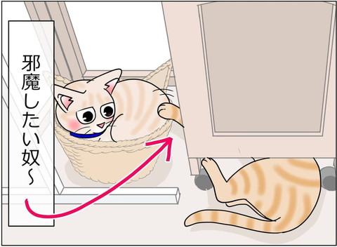 「1349話 猫のお気に入り」