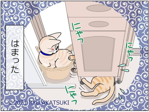 「1349話 猫のお気に入り」