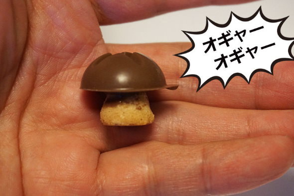 明治 きのこの山 たけのこの里 チョコレート 戦争