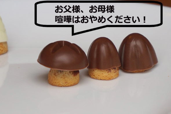 明治 きのこの山 たけのこの里 チョコレート 戦争