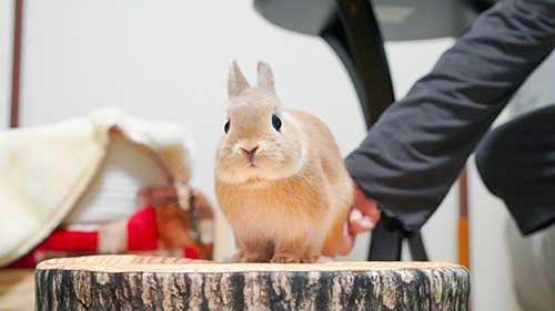 セクハラ現行犯