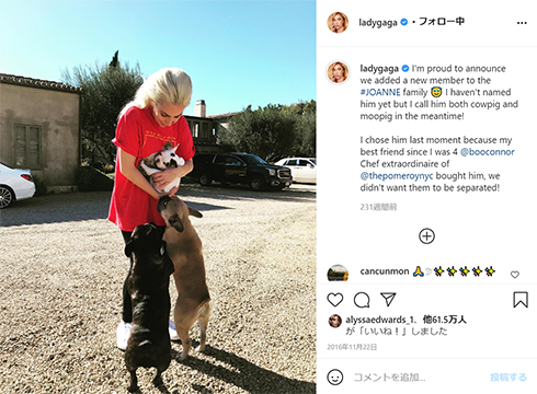 レディー・ガガ 愛犬 強奪 襲撃 事件 逮捕 解決 容疑者 報奨金