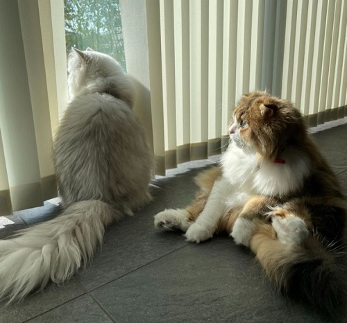 塗り薬を塗るコツ