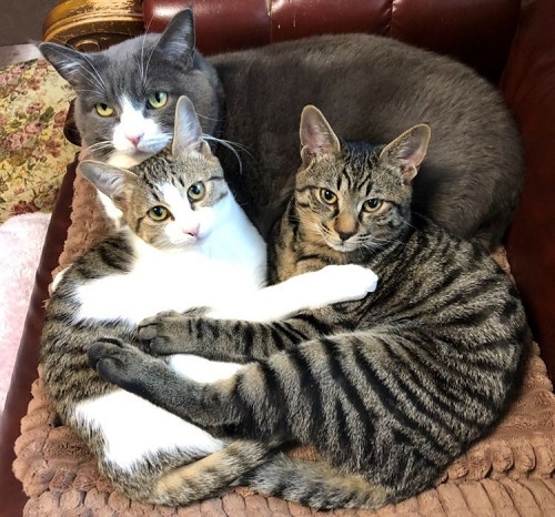 塗り薬を塗るコツ