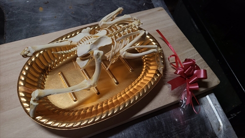 ローストチキン 標本