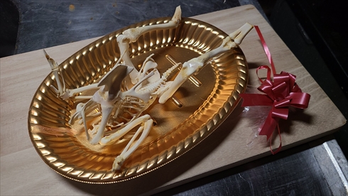 ローストチキン 標本