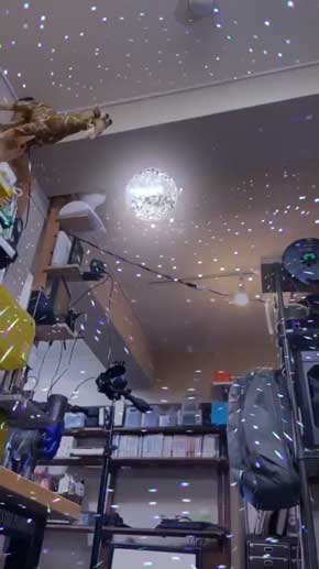 トイレ AR エフェクト iPhone アプリ Clips アゲアゲ