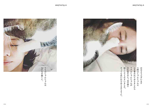 石田ゆり子 ハニオ ハニオ日記