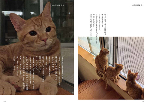 石田ゆり子 ハニオ ハニオ日記