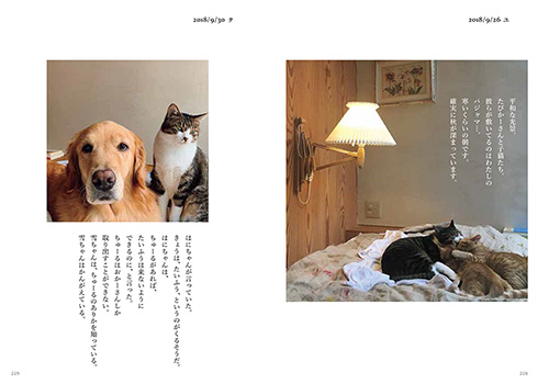 石田ゆり子 ハニオ ハニオ日記