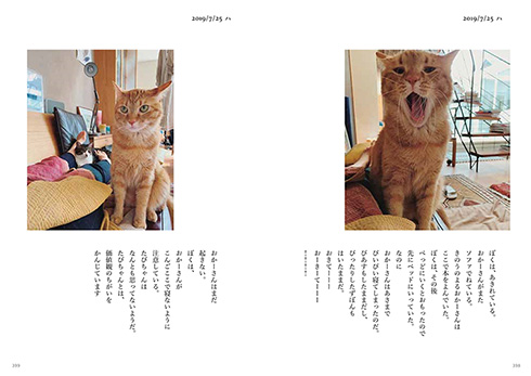 石田ゆり子 ハニオ ハニオ日記