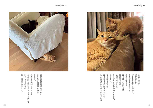 石田ゆり子 ハニオ ハニオ日記