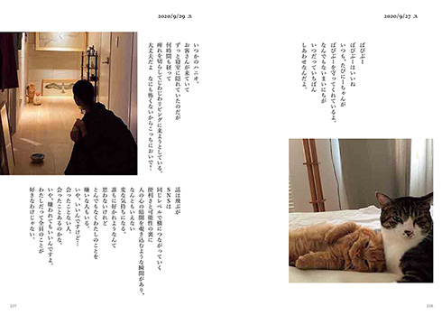 石田ゆり子 ハニオ ハニオ日記