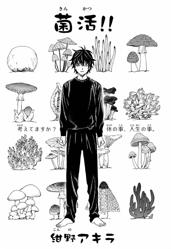 きのこ 菌活 twitter 漫画