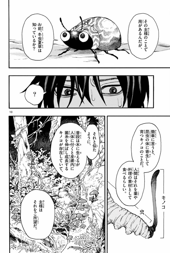 きのこ 菌活 twitter 漫画