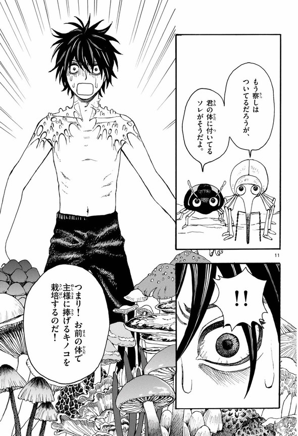 きのこ 菌活 twitter 漫画