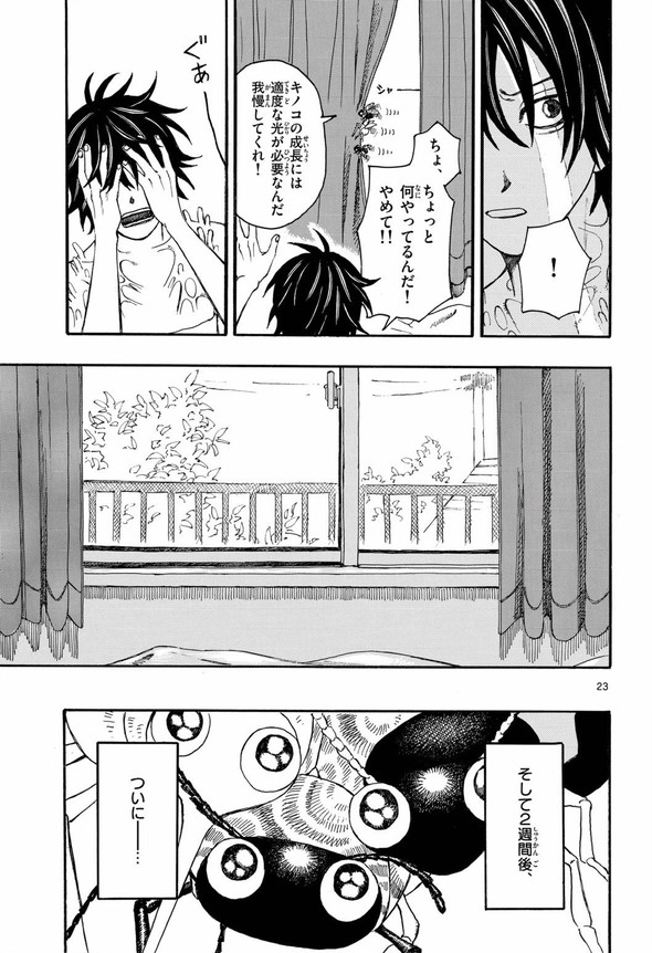 きのこ 菌活 twitter 漫画
