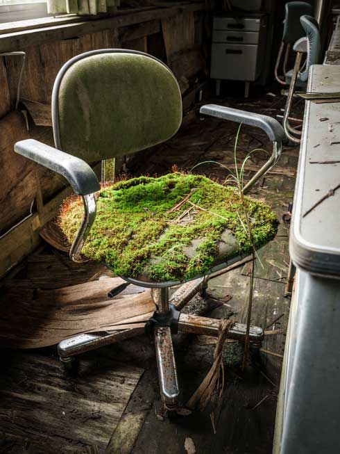 廃校 小学校 椅子 座面 苔 ジオラマ デスクチェア