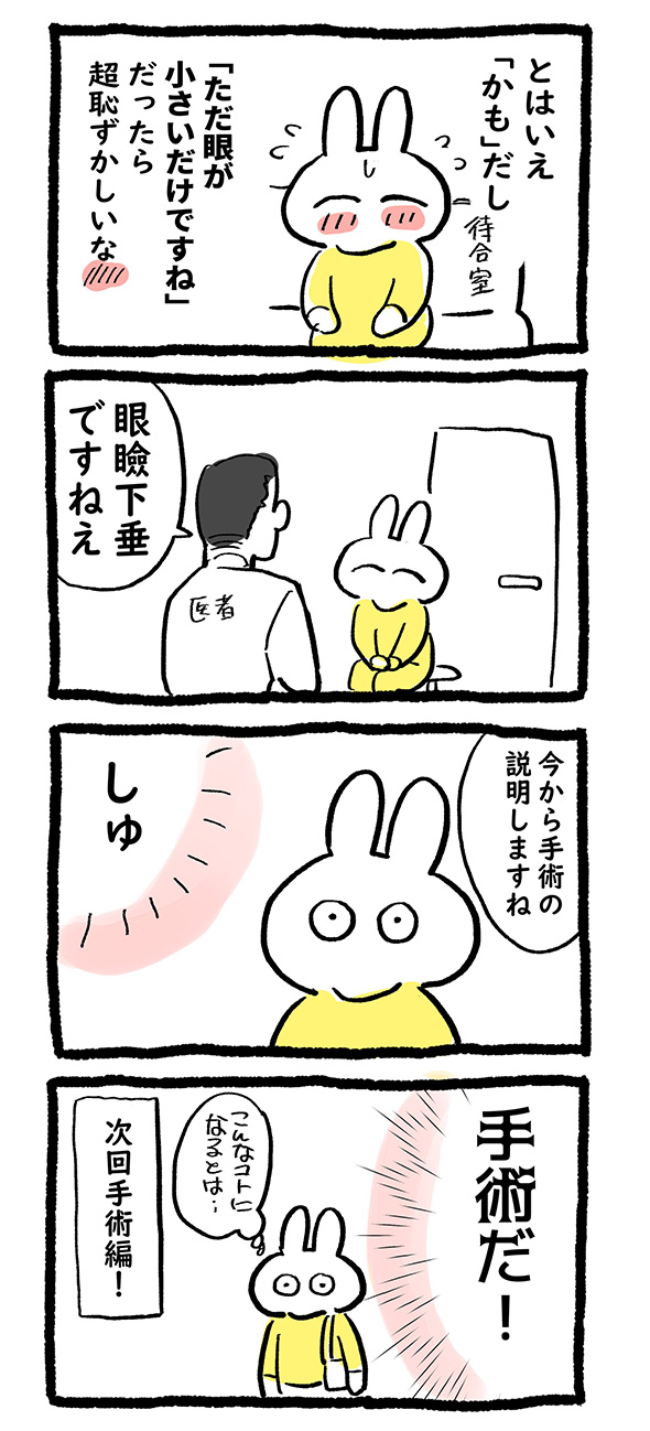 眼瞼下垂 手術 体験談