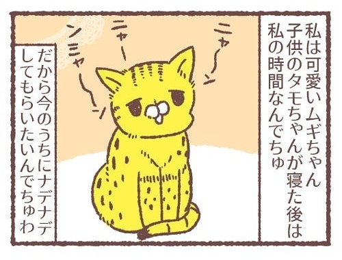 「ムギちゃんの夜」