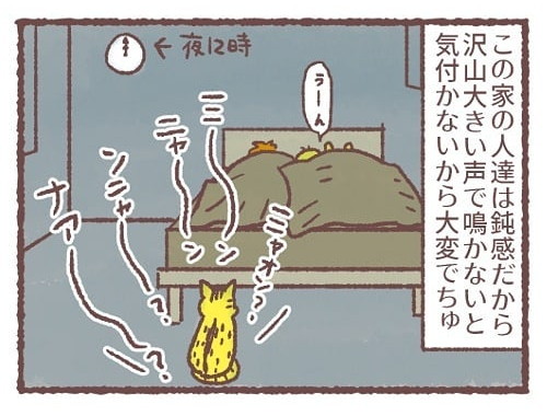 「ムギちゃんの夜」