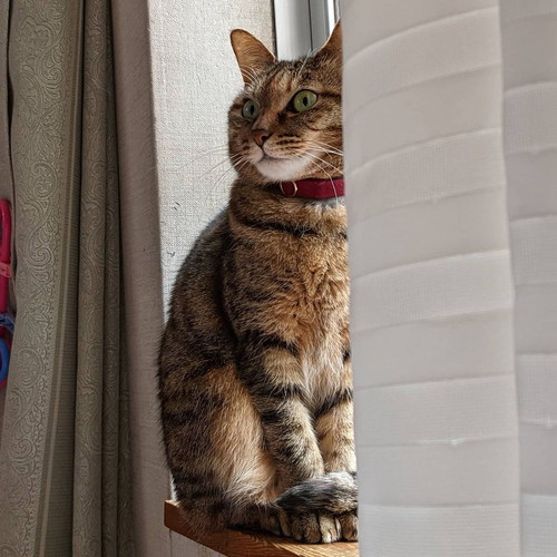 「ムギちゃんの夜」