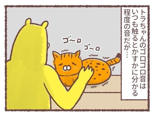 「トラちゃんのゴロゴロ音」普段はかすかにわかる程度のトラちゃんのゴロゴロ音