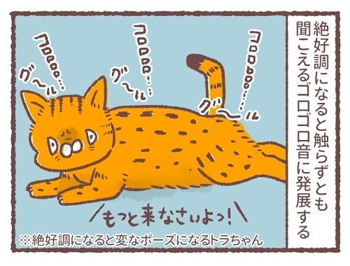 「トラちゃんのゴロゴロ音」
