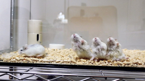 ムーチョちゃんいろいろ