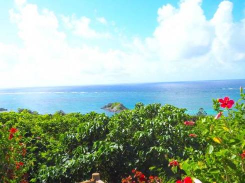 石垣島の展望台。眺めがきれい