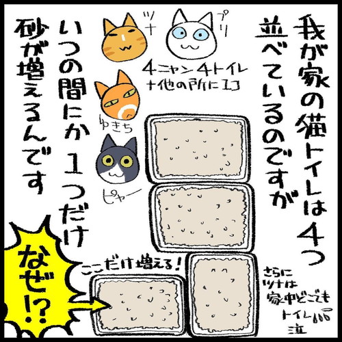 「猫トイレの怪異」