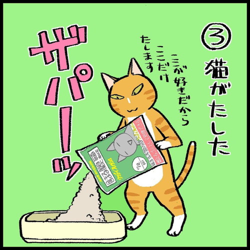 「猫トイレの怪異」