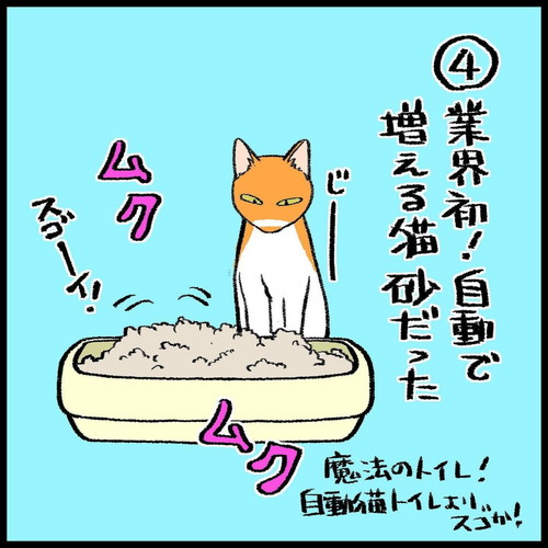 「猫トイレの怪異」