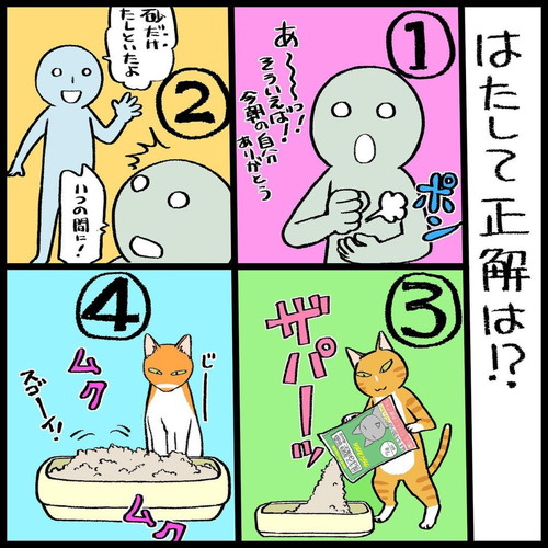 「猫トイレの怪異」