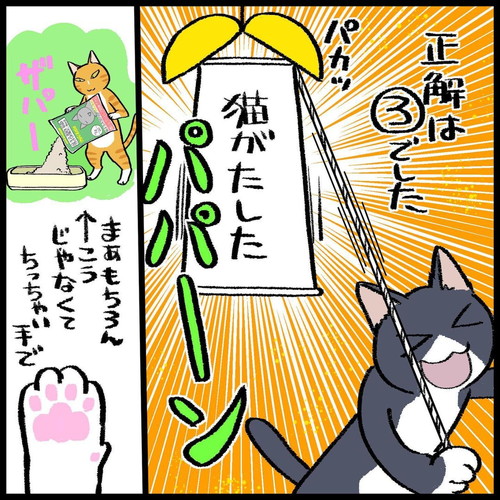 「猫トイレの怪異」