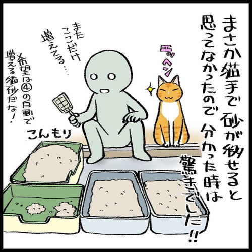 「猫トイレの怪異」