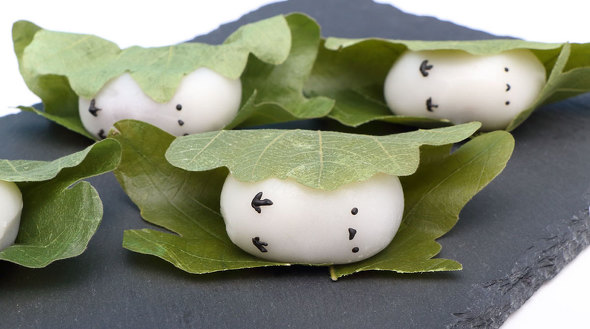 シマエナガ かしわもち