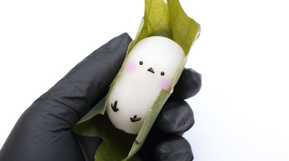 シマエナガ かしわもち