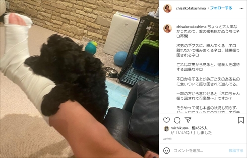高嶋ちさ子 愛犬 ネロ 虐待 インスタ